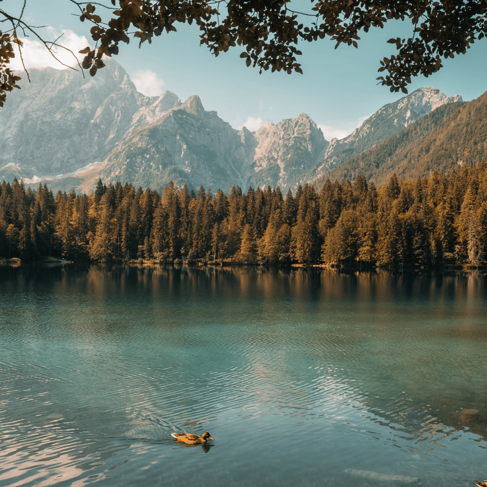 Blog Beitrag Titelbild über das Schwimmen in der freien Natur